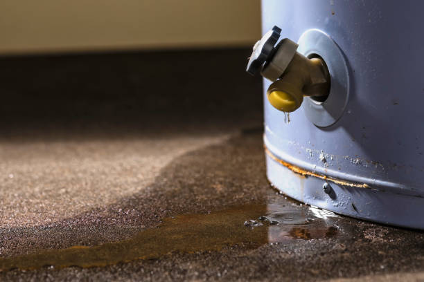 Best Water damage restoration near me  in , TN