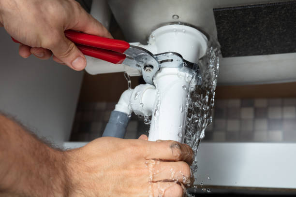 Best 24/7 water damage repair  in , TN