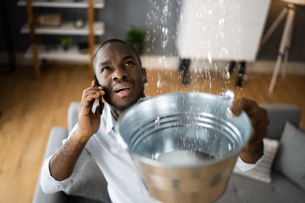 Best Water damage contractors near me  in , TN