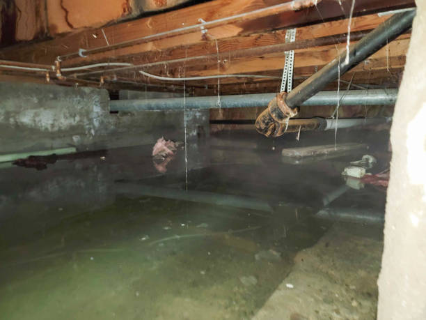  , TN Water damage restoration Pros