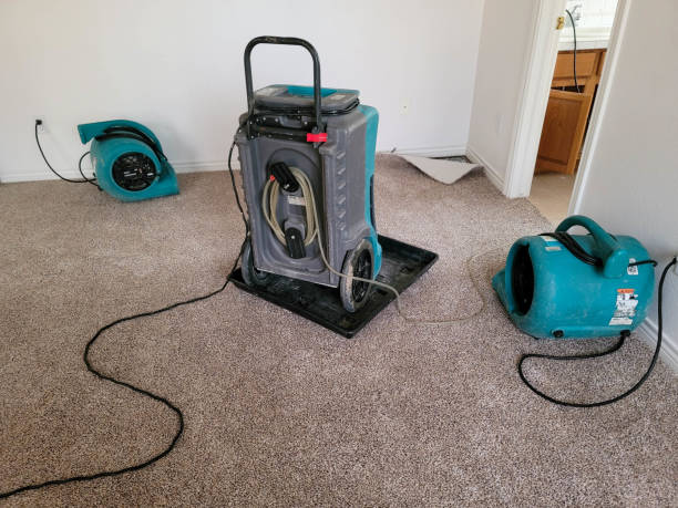 Best Water damage contractors near me  in , TN