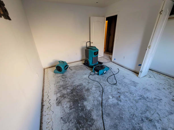 Best Fire Damage Restoration  in , TN