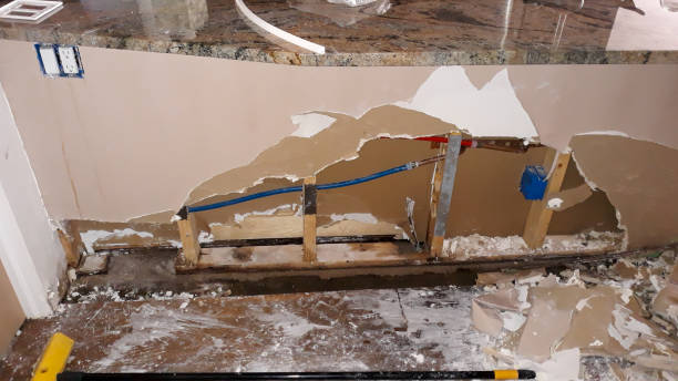 Best Water damage cleanup near me  in , TN