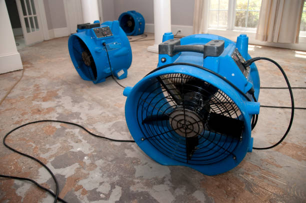 Best Ceiling water damage repair  in , TN