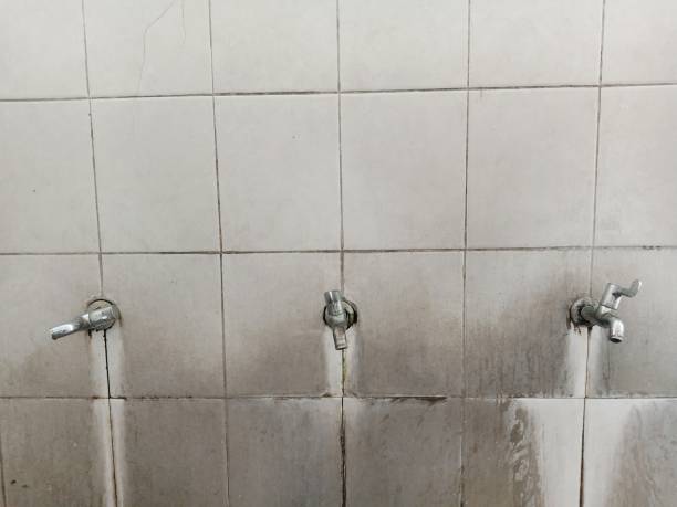 Best Flooded house restoration  in , TN