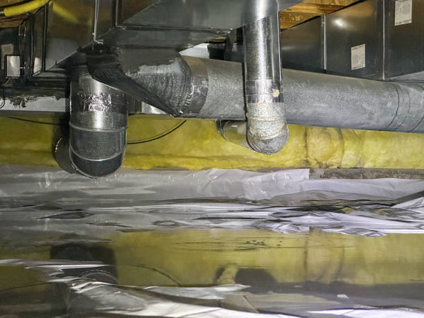 Best Carpet water damage restoration  in , TN