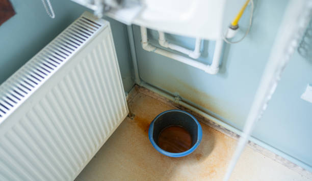Best Residential water damage restoration  in , TN