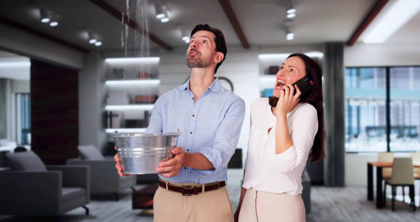 Best Flood restoration services  in , TN