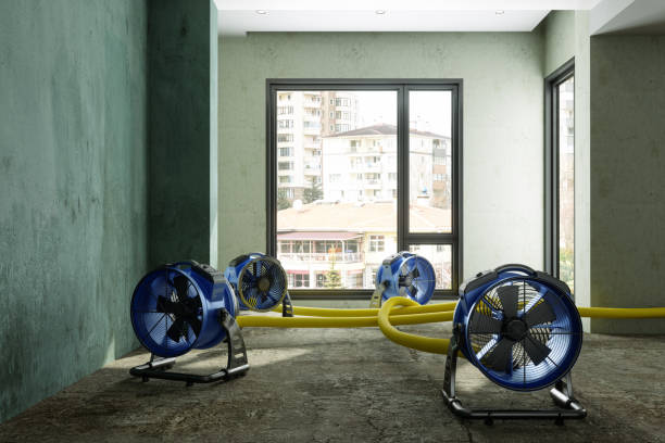 Best Local water damage restoration  in , TN