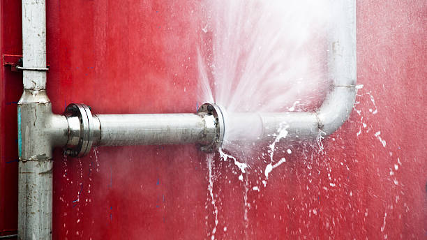 Best Ceiling water damage repair  in , TN